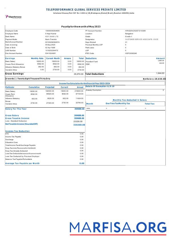 Blank Teleperformance Global Services payslip template